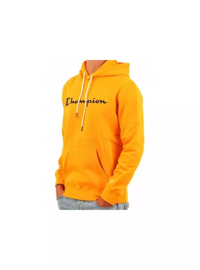 Champion HOODED SWEATSHIRT 218282YS113