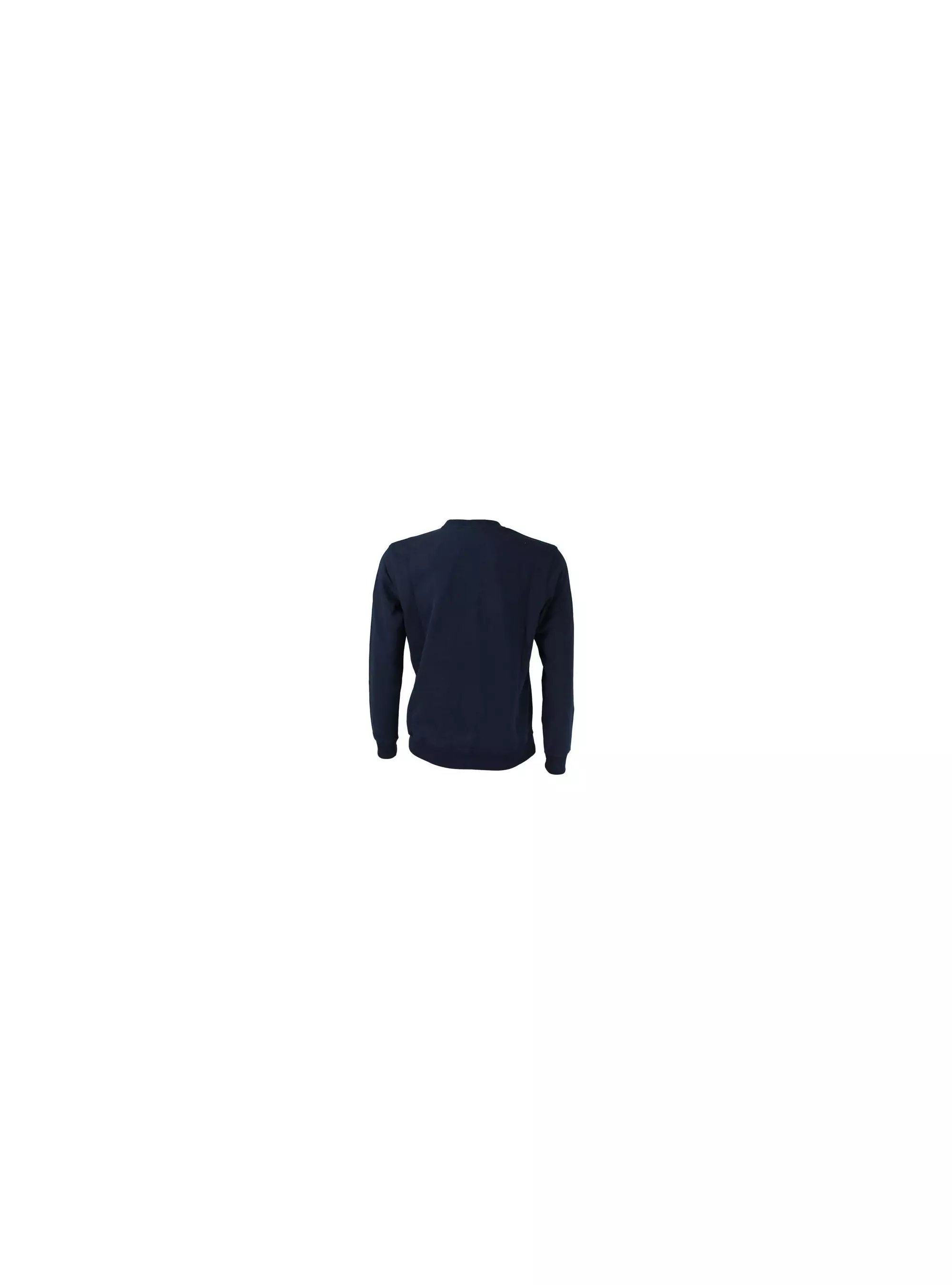 Champion CREWNECK SWEATSHIRT 217285BS503