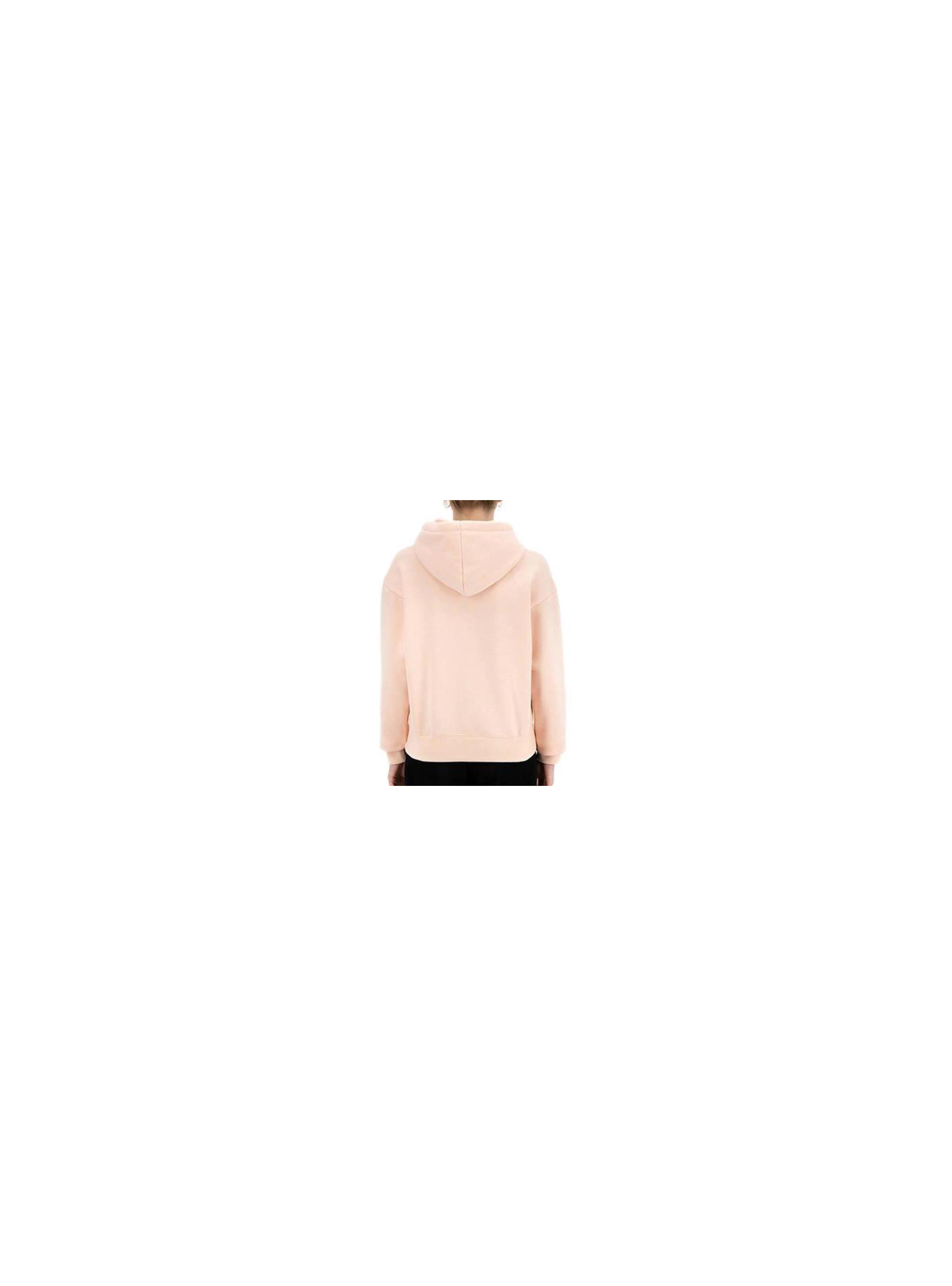 Champion HOODED SWEATSHIRT 114461PS075