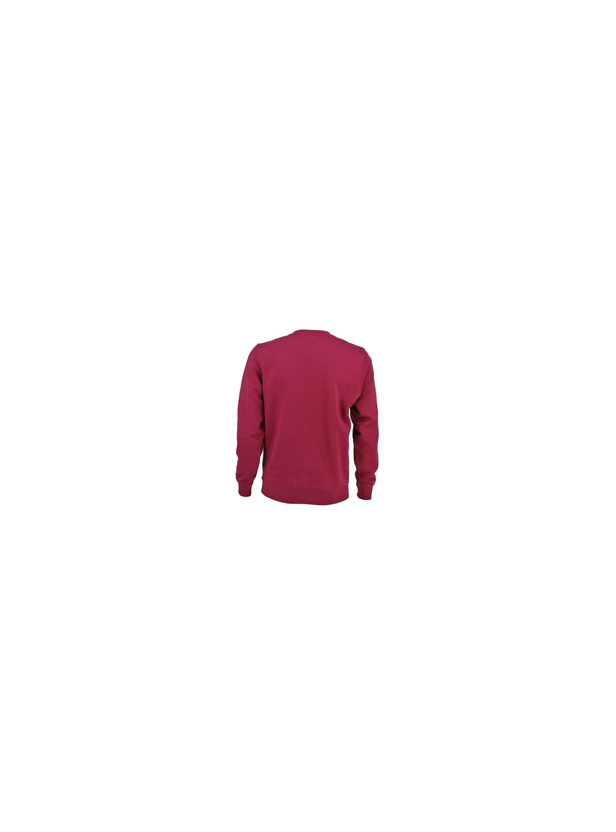 Champion CREWNECK SWEATSHIRT 216641VS516