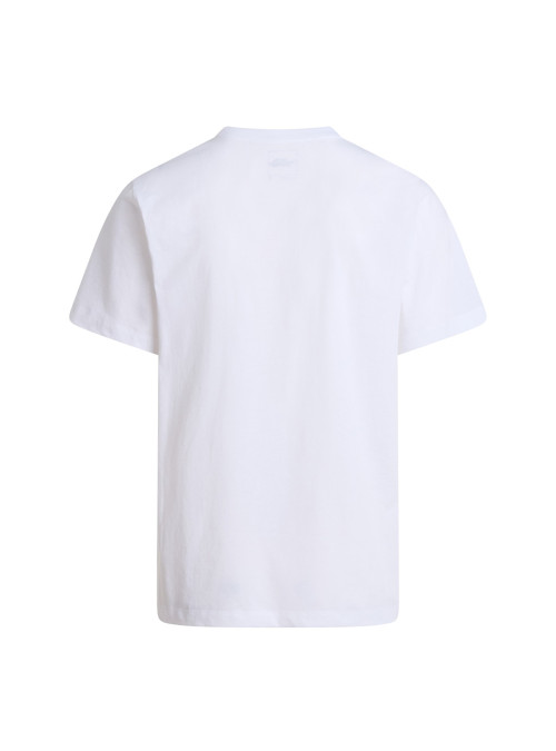 The North Face Koszulka męska M EVO SD REG SS TEE NF0A8CZ2FN4 - Biała | Sklep Monotox