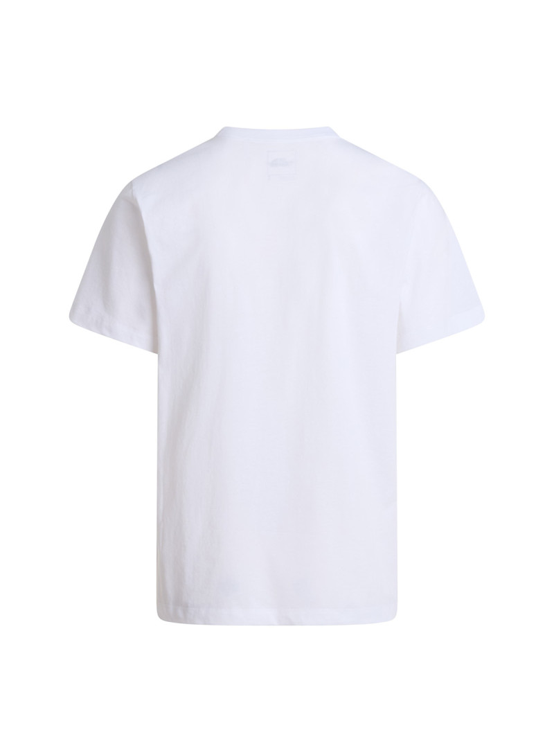 The North Face Koszulka męska M EVO SD REG SS TEE NF0A8CZ2FN4 - Biała | Sklep Monotox