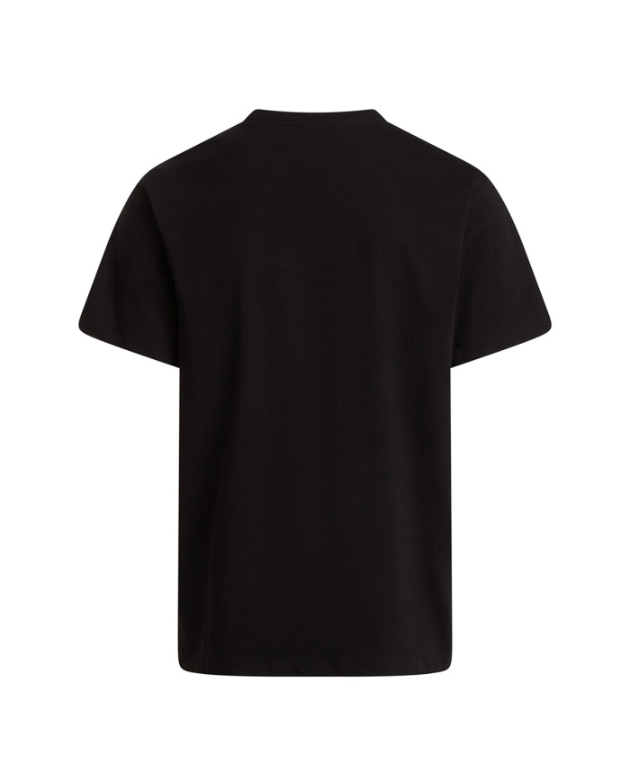 The North Face Koszulka męska M EVO SD REG SS TEE NF0A8CZ2JK3 - Czarna | Sklep Monotox
