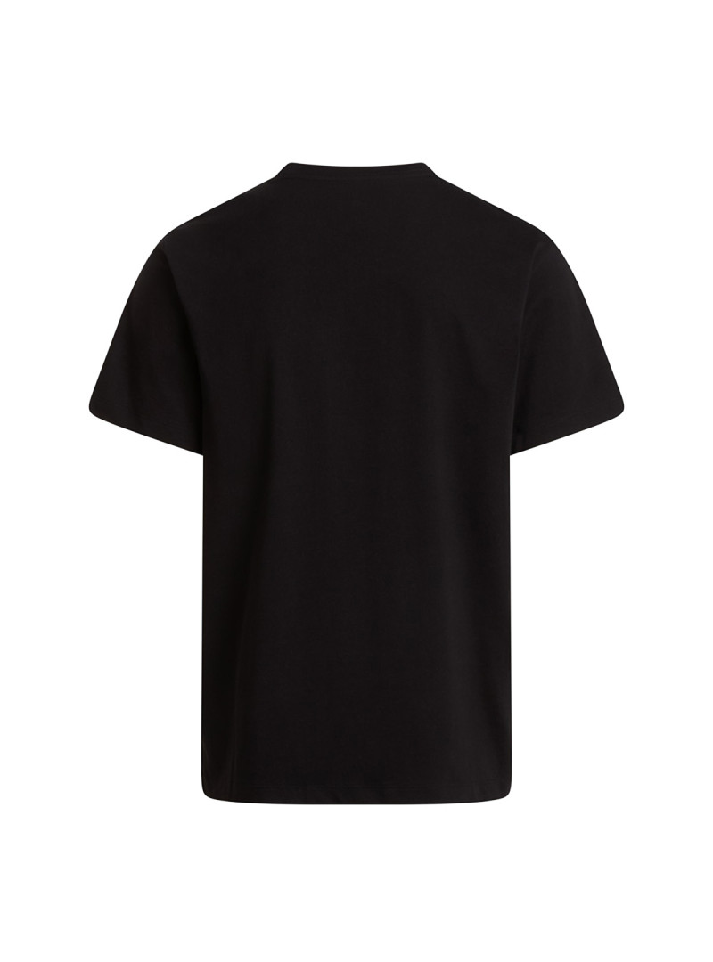 The North Face Koszulka męska M EVO SD REG SS TEE NF0A8CZ2JK3 - Czarna | Sklep Monotox