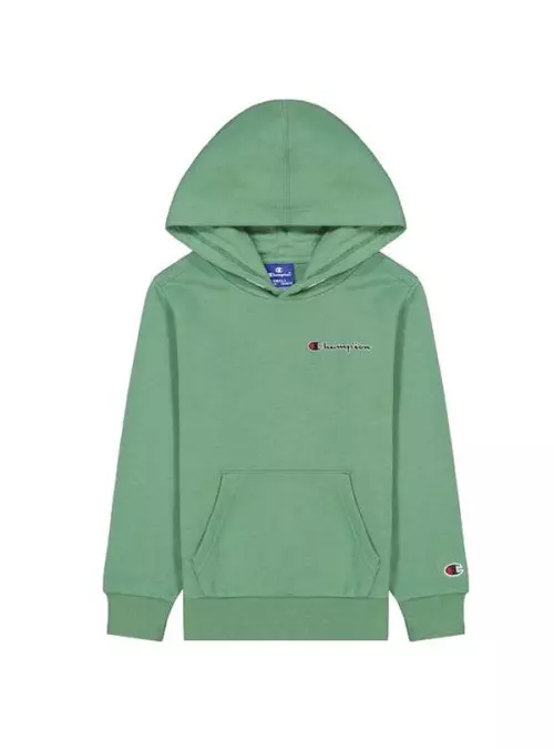 Champion HOODED SWEATSHIRT 305960GS098