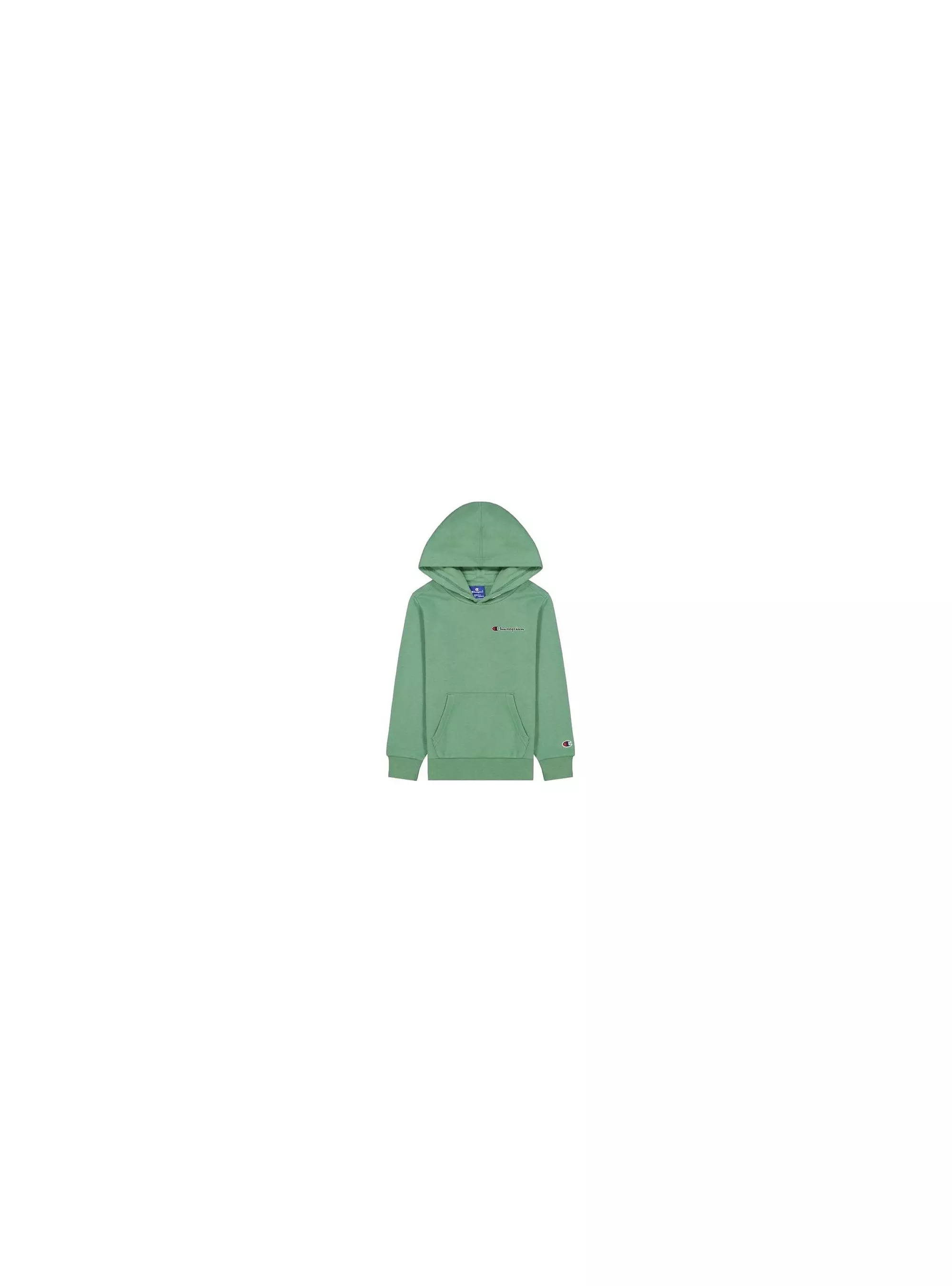 Champion HOODED SWEATSHIRT 305960GS098