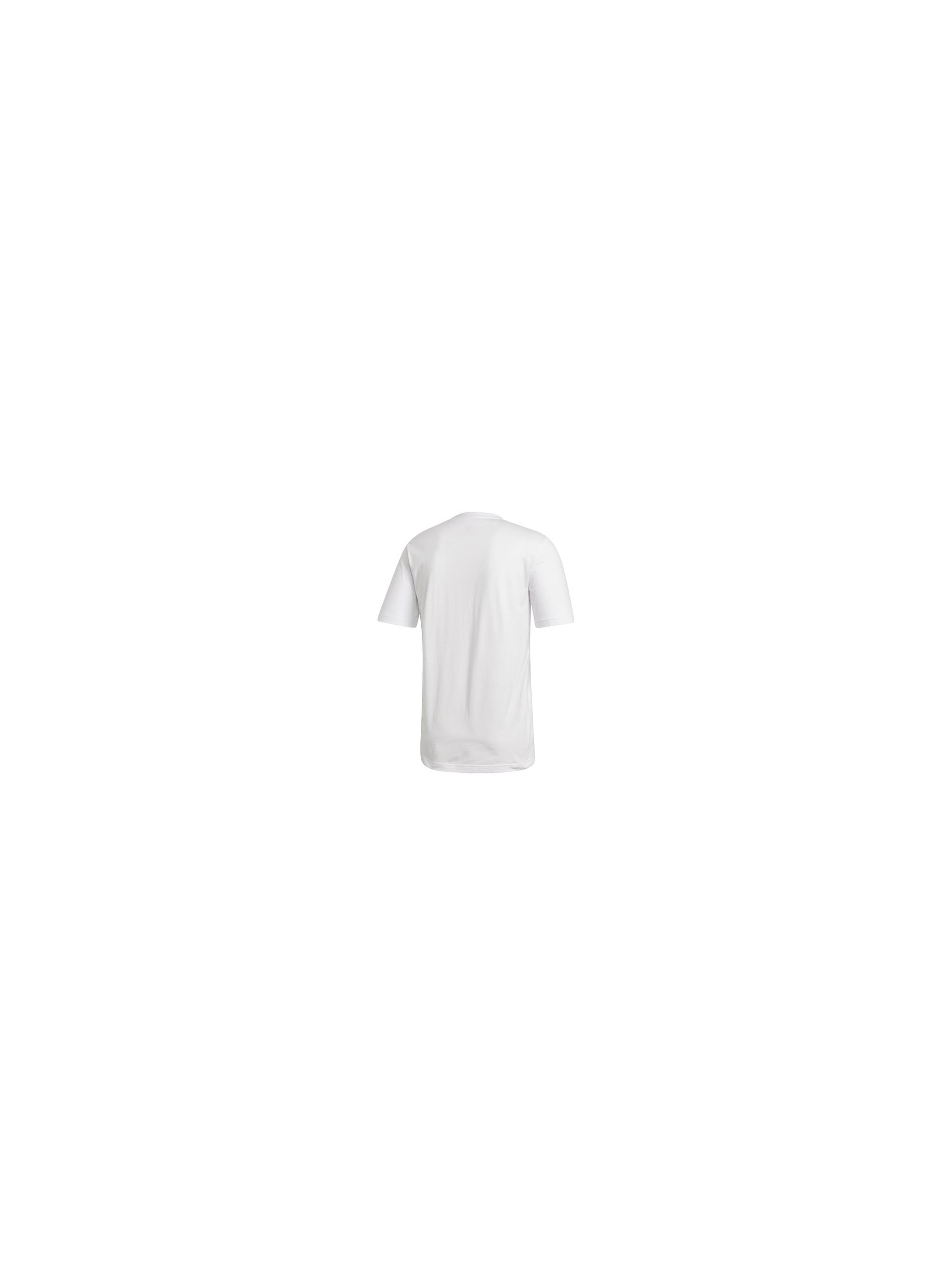 Adidas E LIN TEE DQ3056