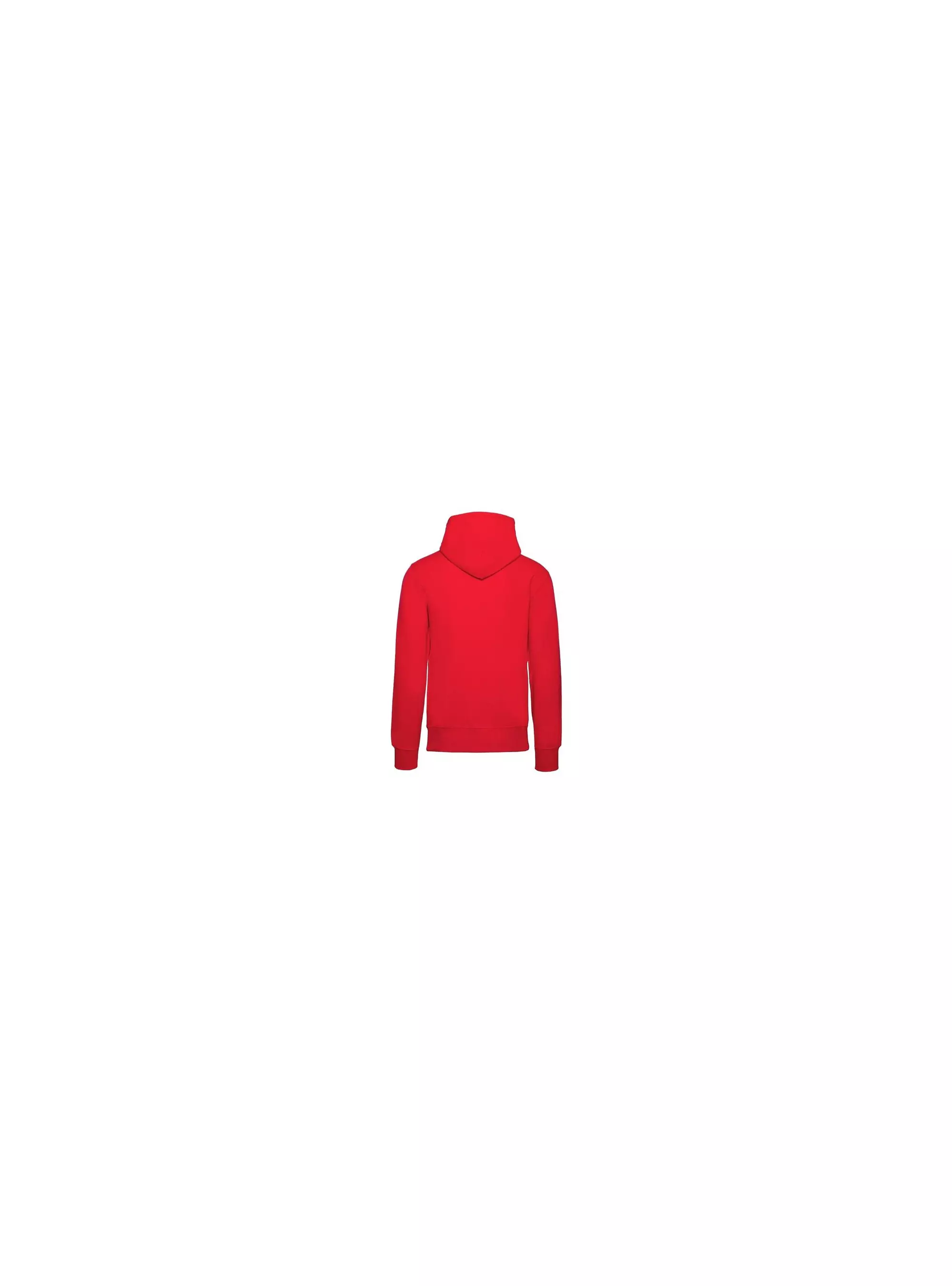 Champion HOODED SWEATSHIRT 214183RS041