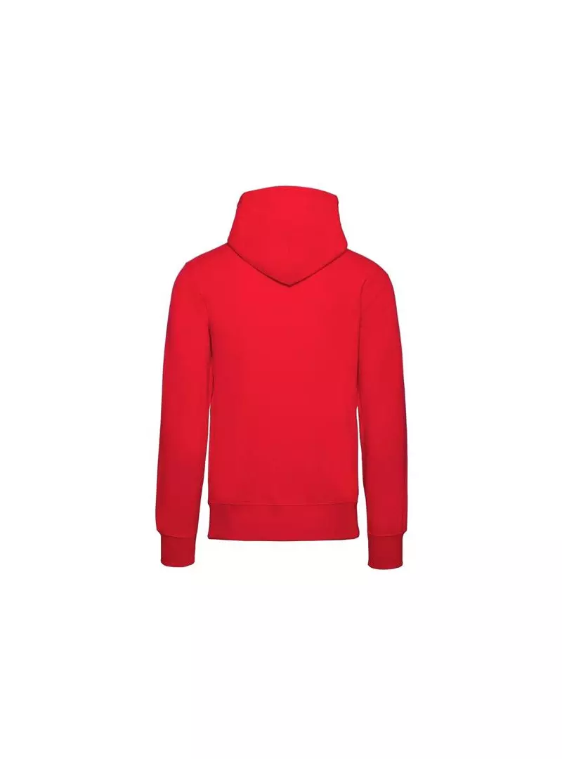 Champion HOODED SWEATSHIRT 214183RS041