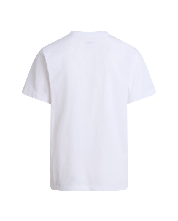 The North Face Koszulka męska M EVO SD REG SS TEE NF0A8CZ2FN4 - Biała | Sklep Monotox