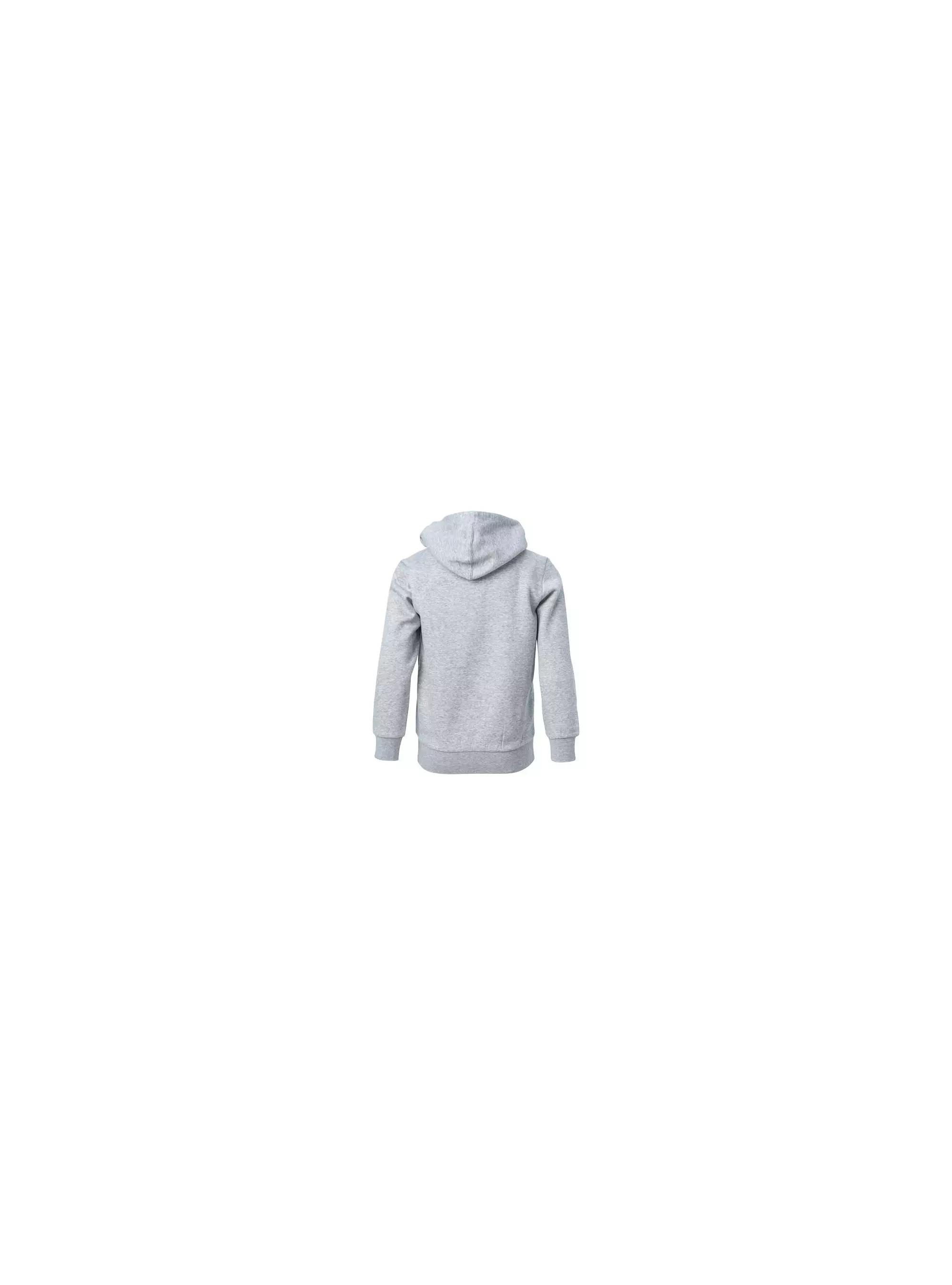 Champion HOODED FULL ZIP SWEATSHIRT 306170EM006