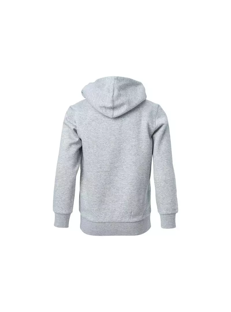 Champion HOODED FULL ZIP SWEATSHIRT 306170EM006