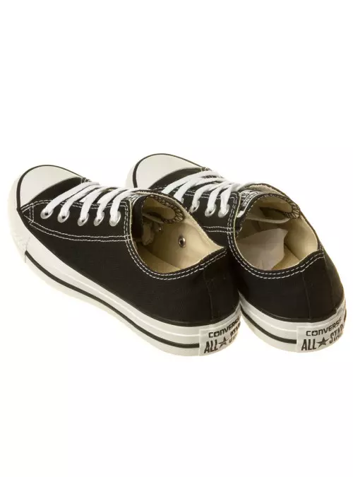 Converse CHUCK TAYLOR ALL STAR M9166C