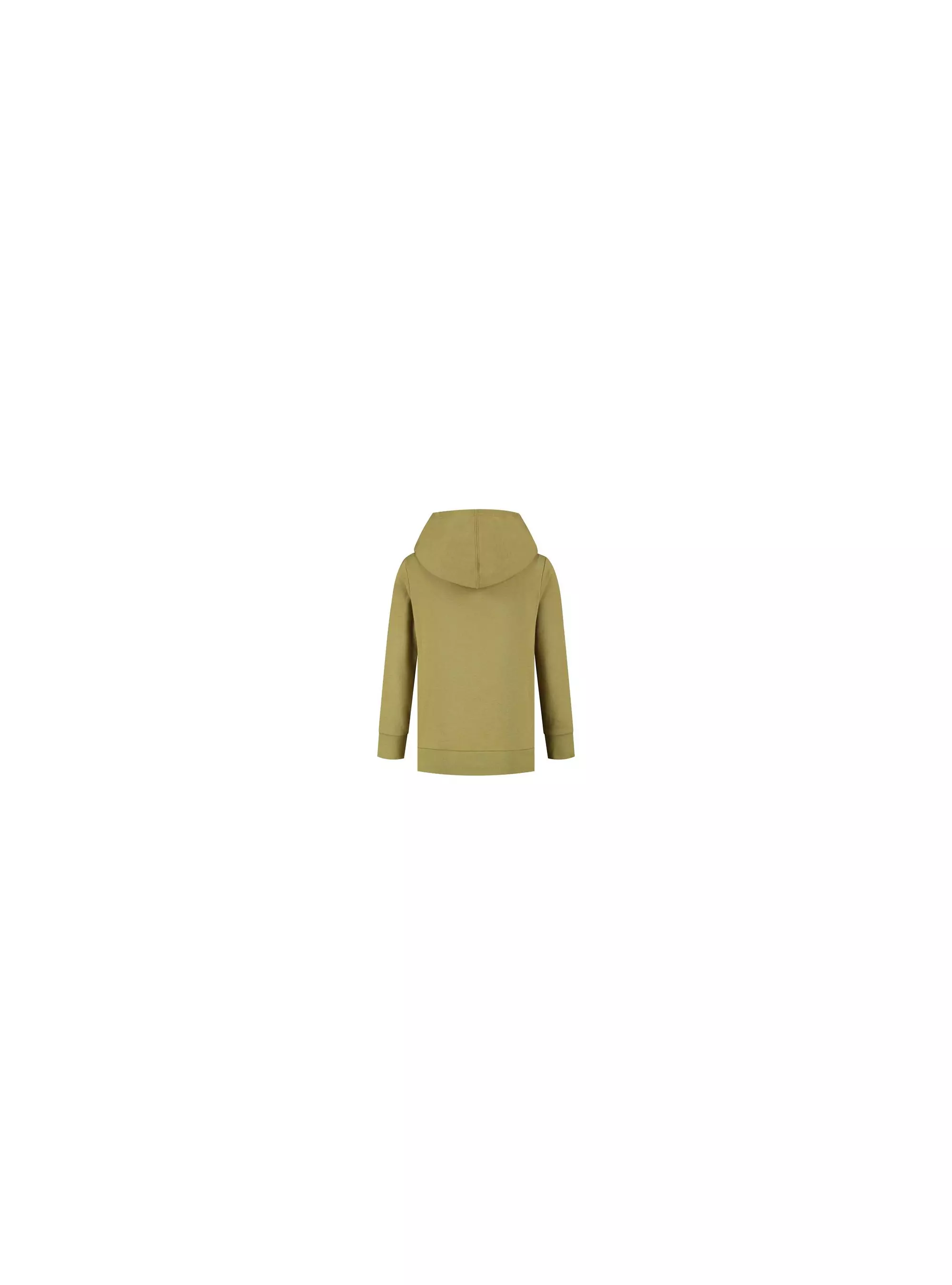 Champion HOODED SWEATSHIRT 305903GS092