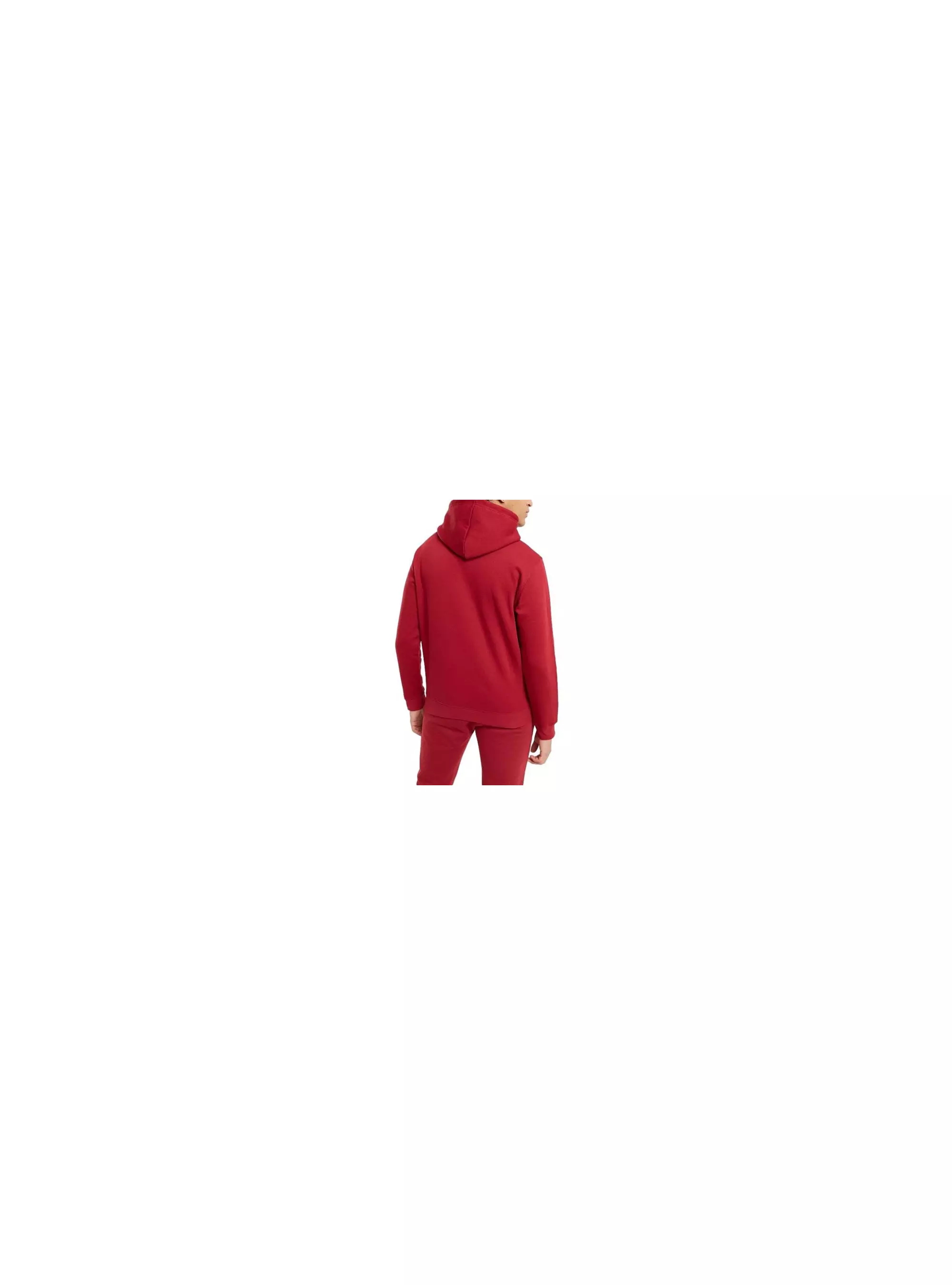 Champion HOODED SWEATSHIRT 218282RS506