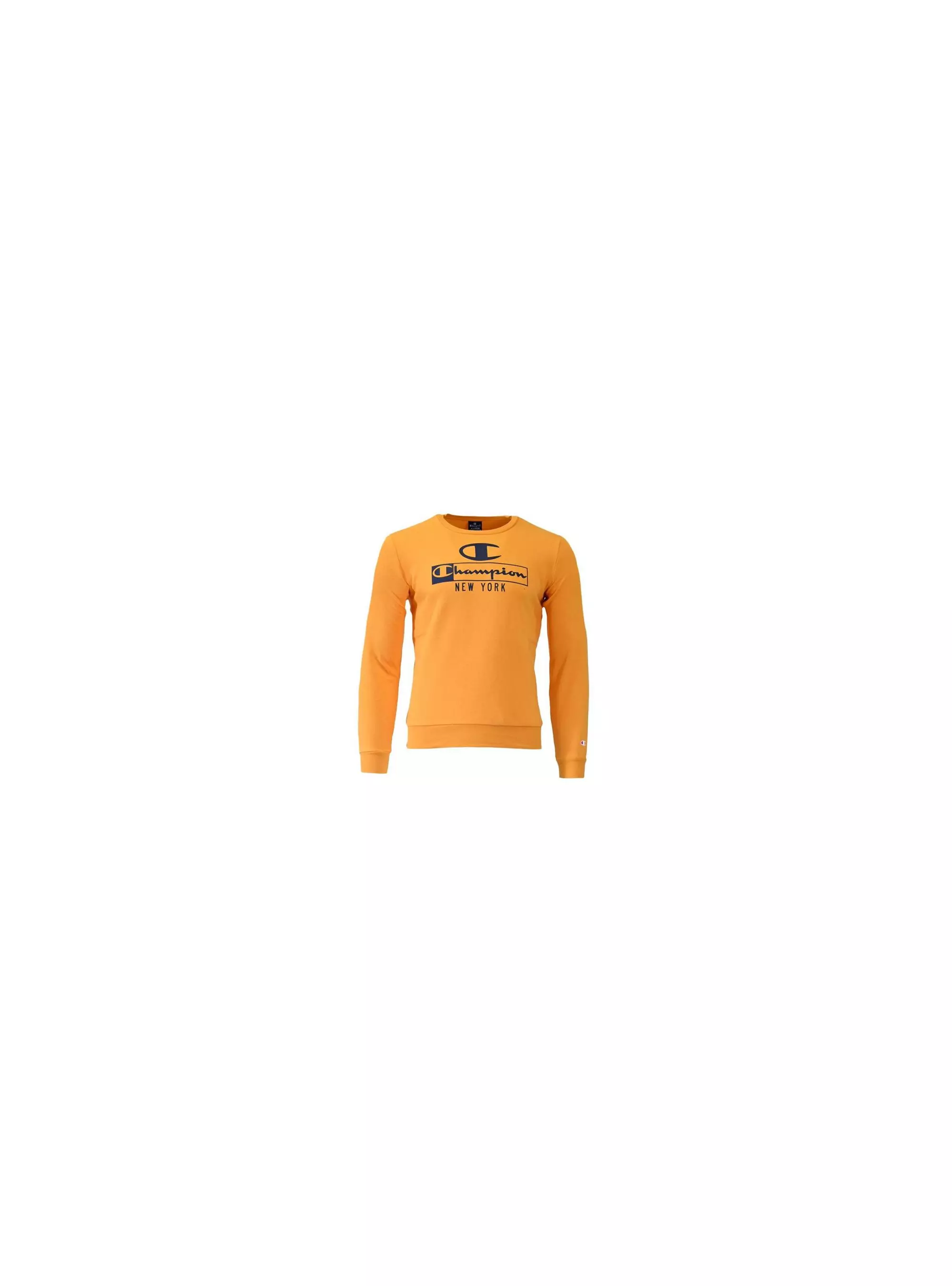 Champion CREWNECK SWEATSHIRT 306172YS113 Champion CREWNECK SWEATSHIRT 306172YS113