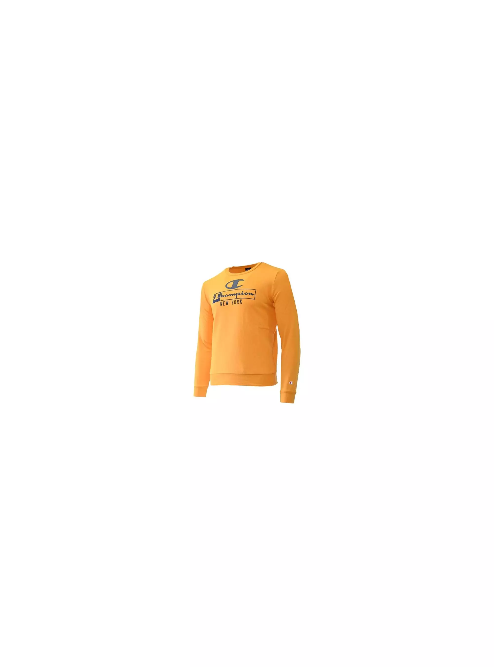 Champion CREWNECK SWEATSHIRT 306172YS113 Champion CREWNECK SWEATSHIRT 306172YS113