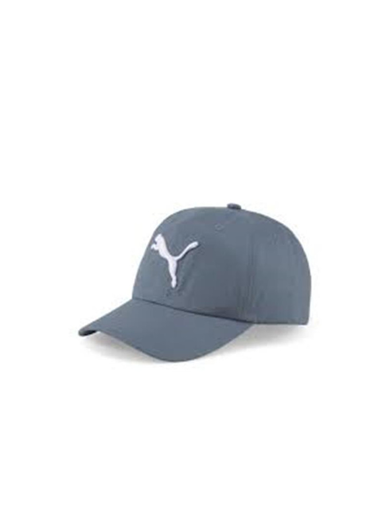 Puma ESS CAP 02241699