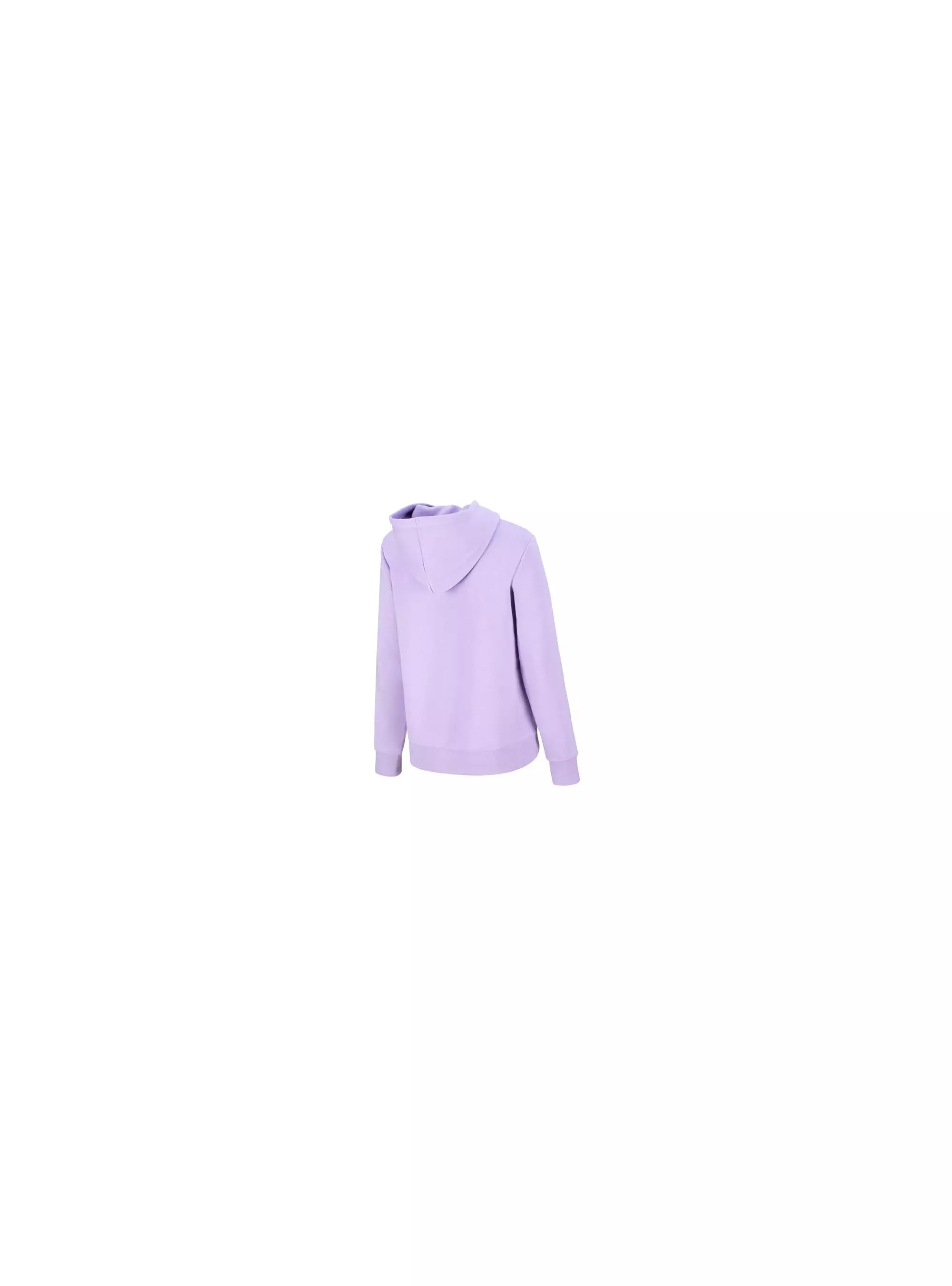 Champion HOODED SWEATSHIRT 116066VS022